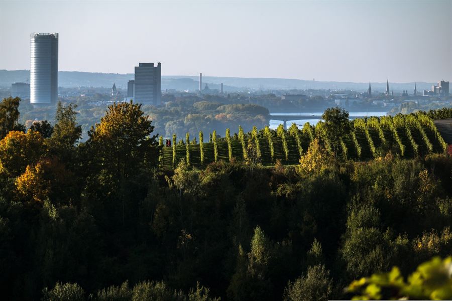 Jobs und Karriere in Bonn